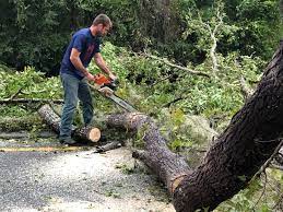 Leaf Removal in Presque Isle, ME